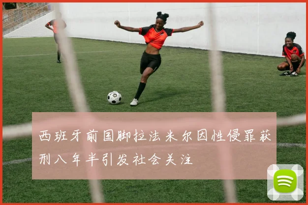 西班牙前国脚拉法米尔因性侵罪获刑八年半引发社会关注
